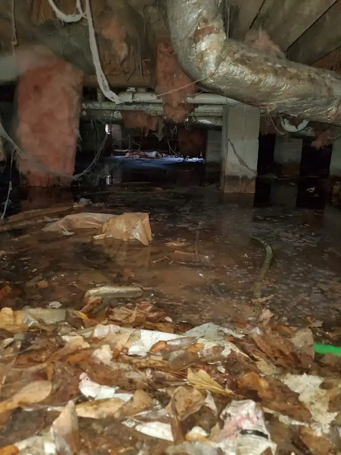 Crawl space flood assessment for Leak Detection & Repair in Providence Village
