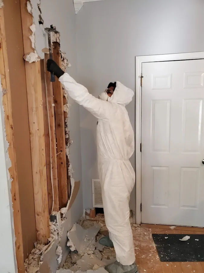 Water Damage Assessment in Providence Village, TX